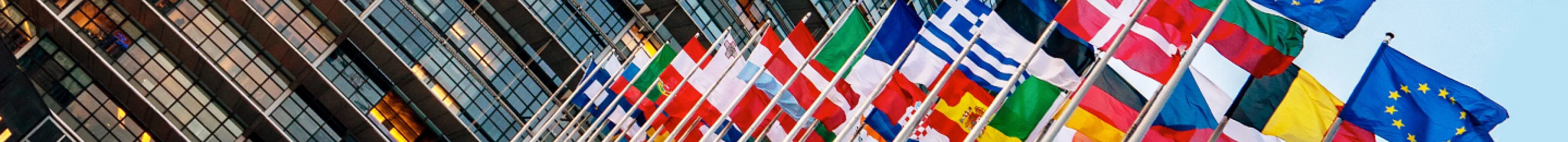 International flags outside a modern diplomatic building